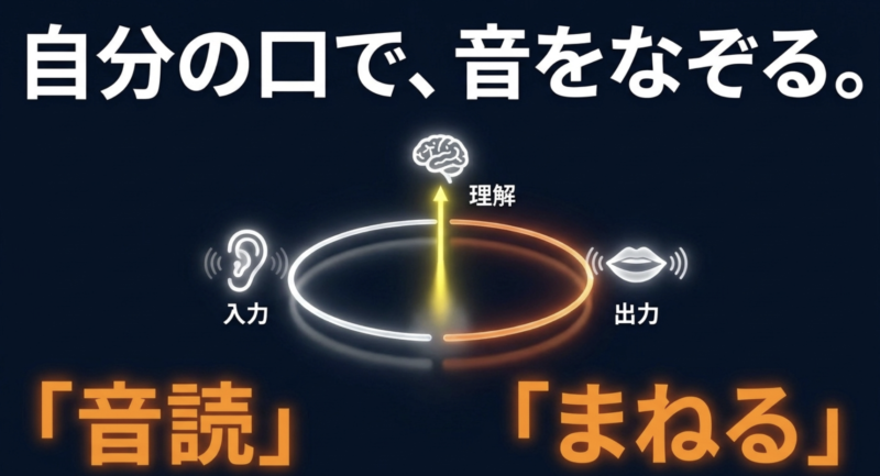 理解した英文を入力し、音読やまねることで出力する