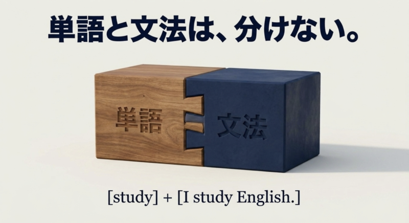 単語と文法は分けずに例文と一緒に覚えることを示すイメージ