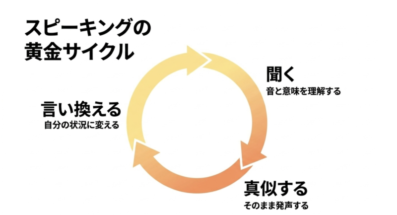 音と意味を理解する聞く、そのまま発声する真似する、自分の状況に変える言い換えるの3段階からなるスピーキングの黄金サイクル